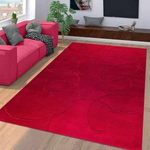 Red Hand Tufted Wool Beautiful Area Rugs