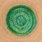 Hand Braided Doormat Green Round Area Rug